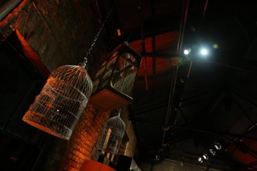 ELLIE GOULDING FOR DEICHMANN LAUNCH EVENT, London